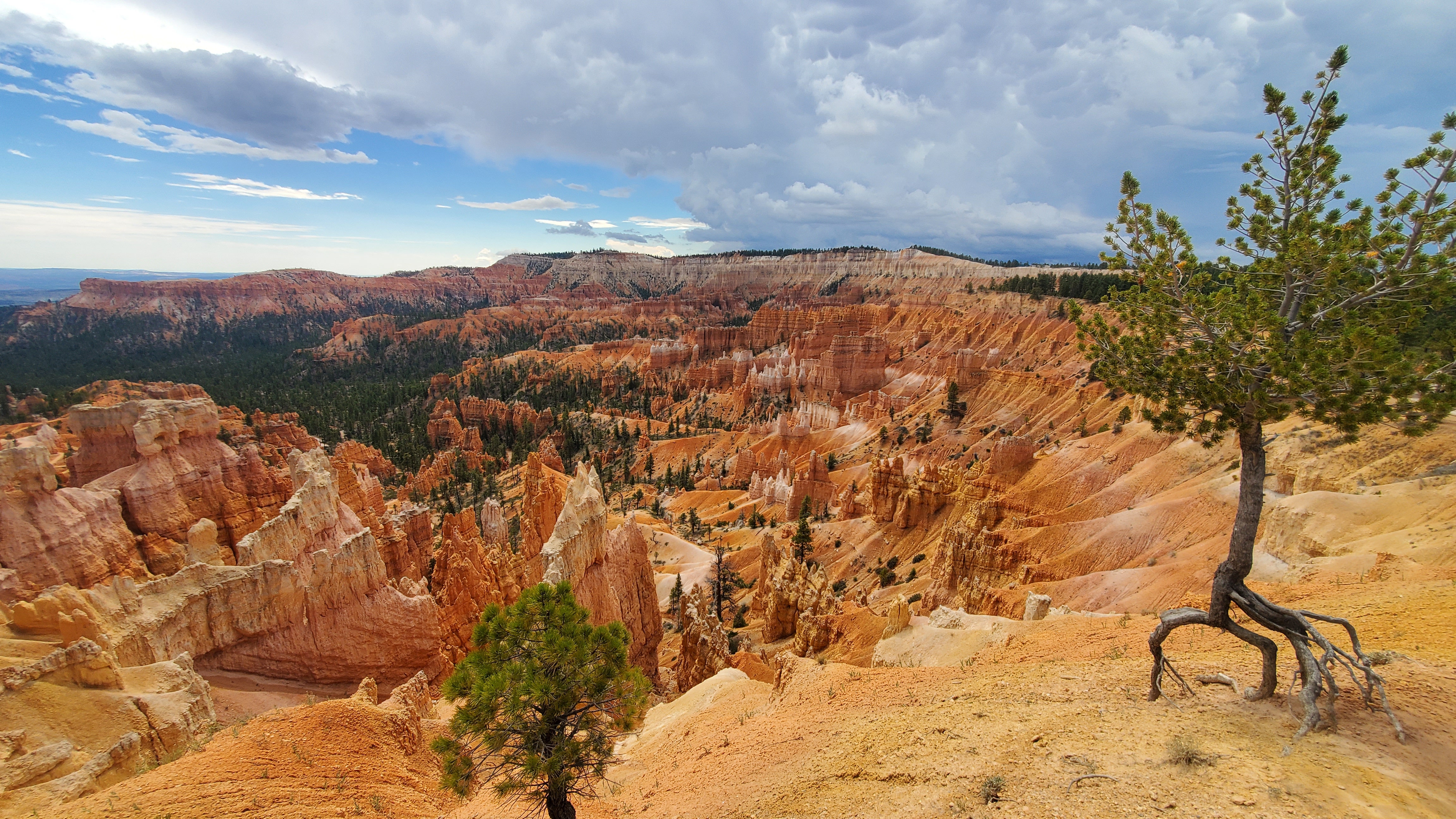 Background image Bryce canyon