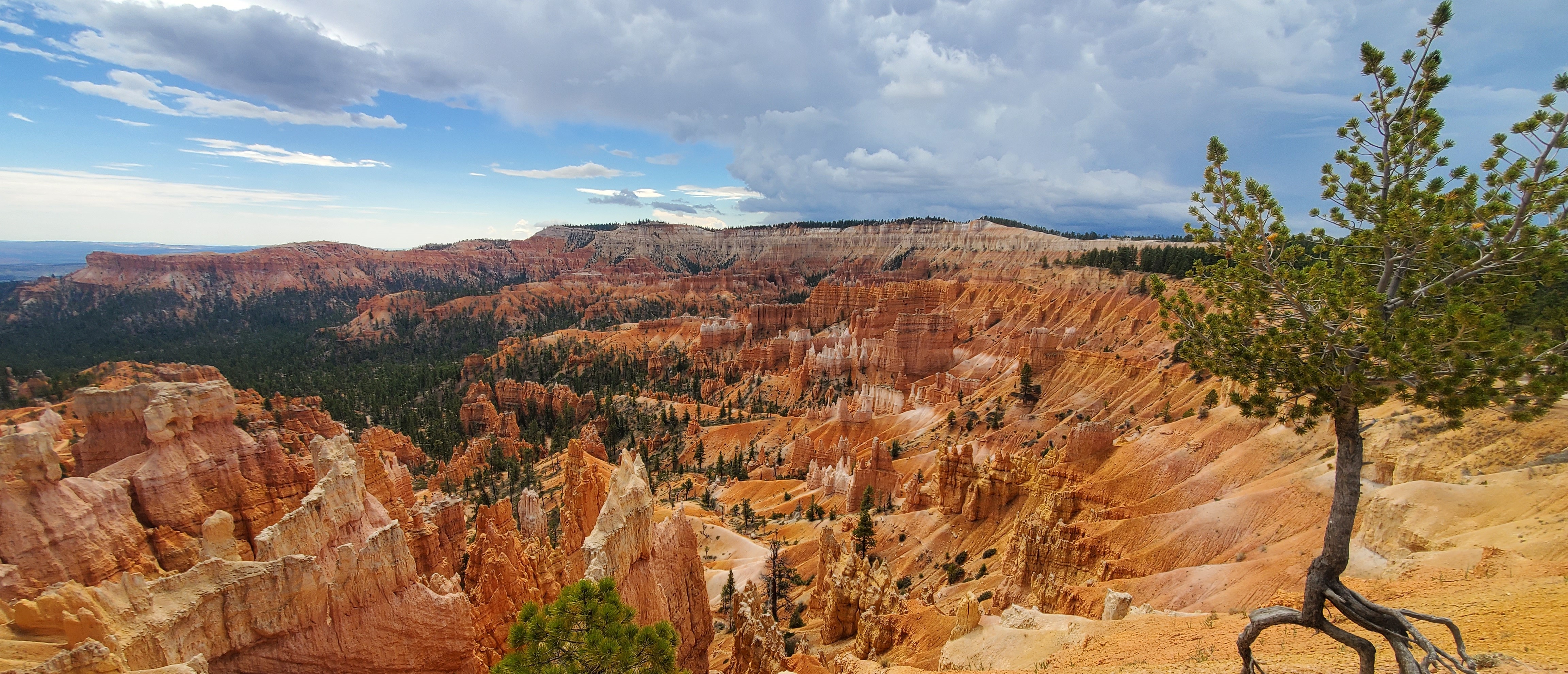 Background image Bryce canyon